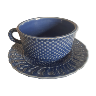 English-billed teacup