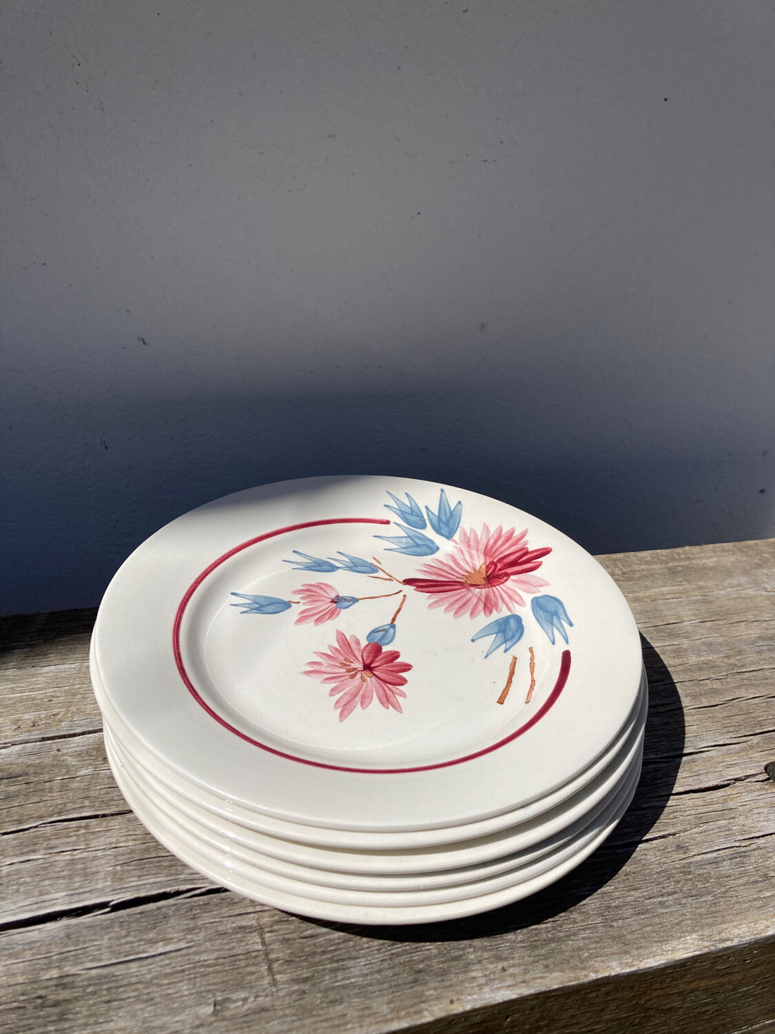 Set ofd 6 flat plates Digoin Sarreguemines