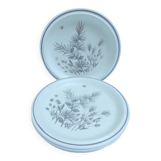 English dinner plates