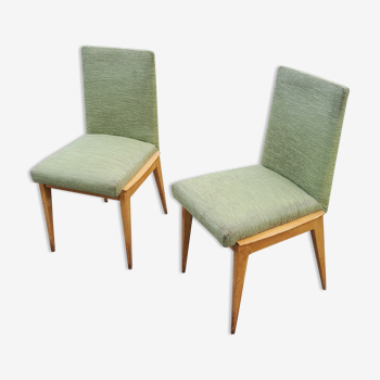 Paire de chaises des années 50 en hêtre teinté sycomore