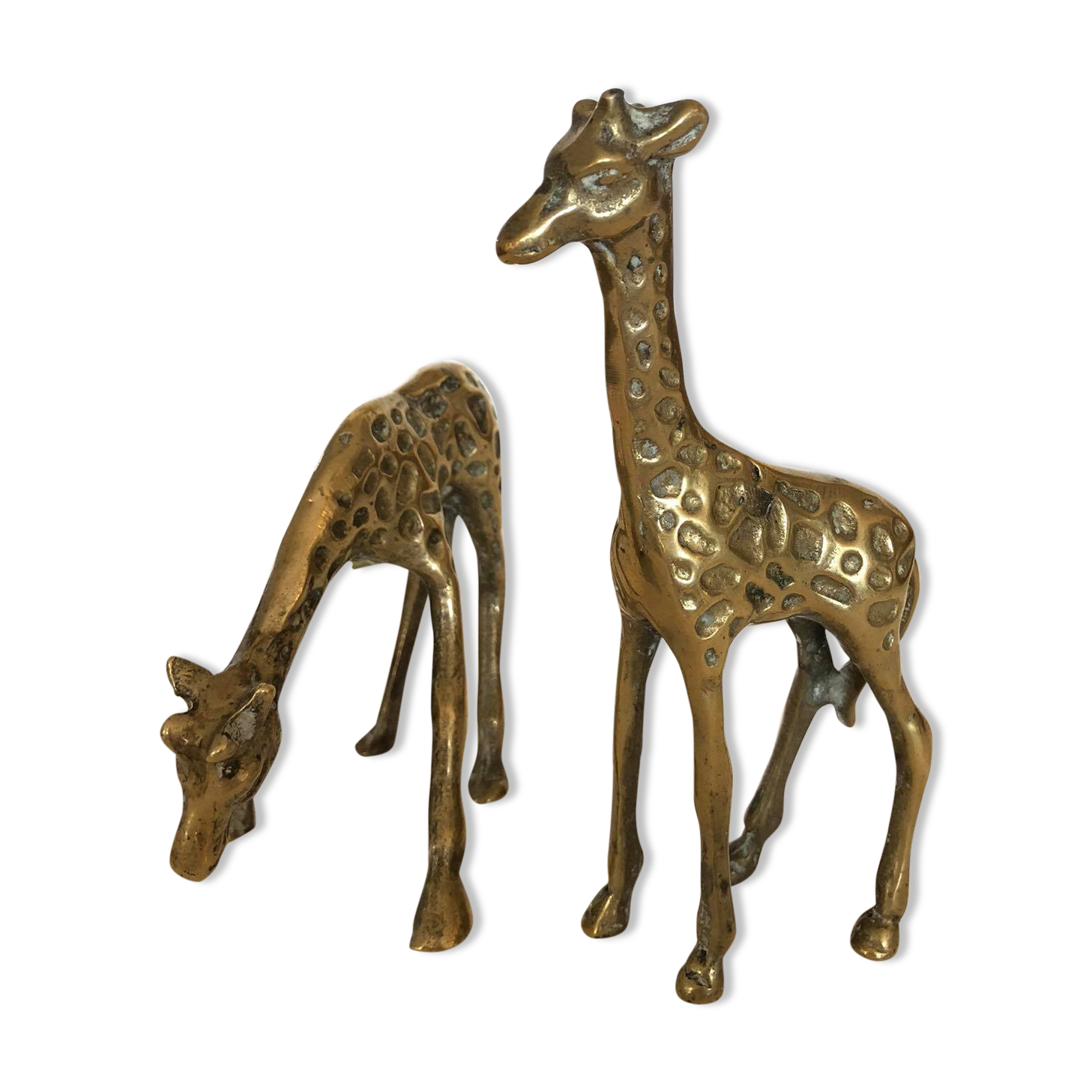 Pair of two giraffes