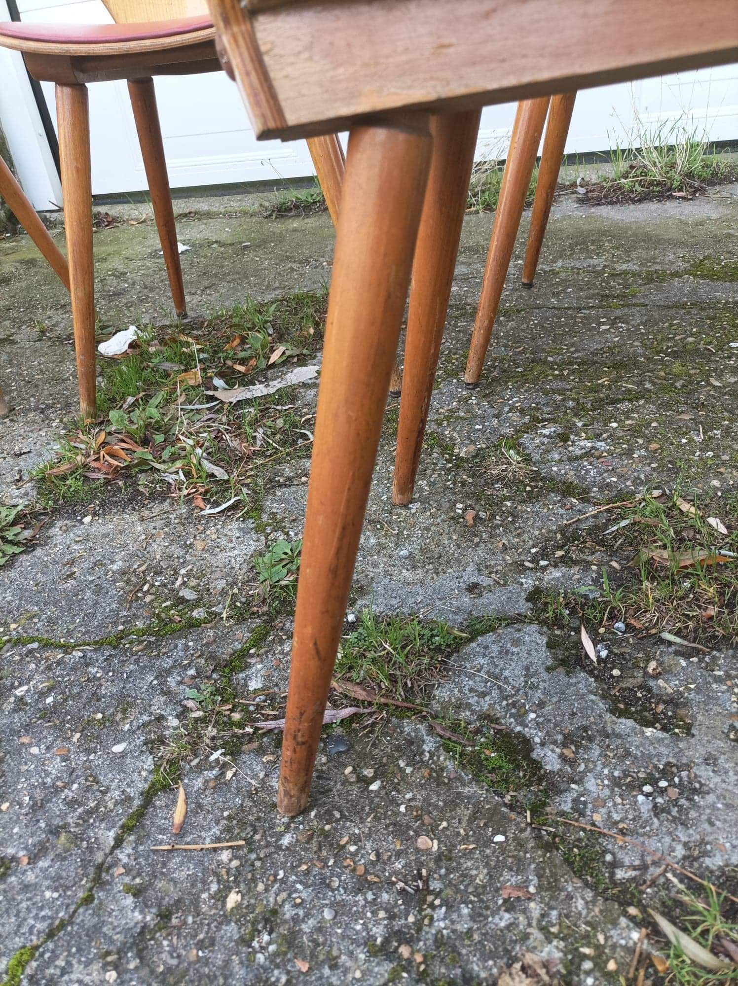 6 vintage Baumann chairs by Max Bill 50s
