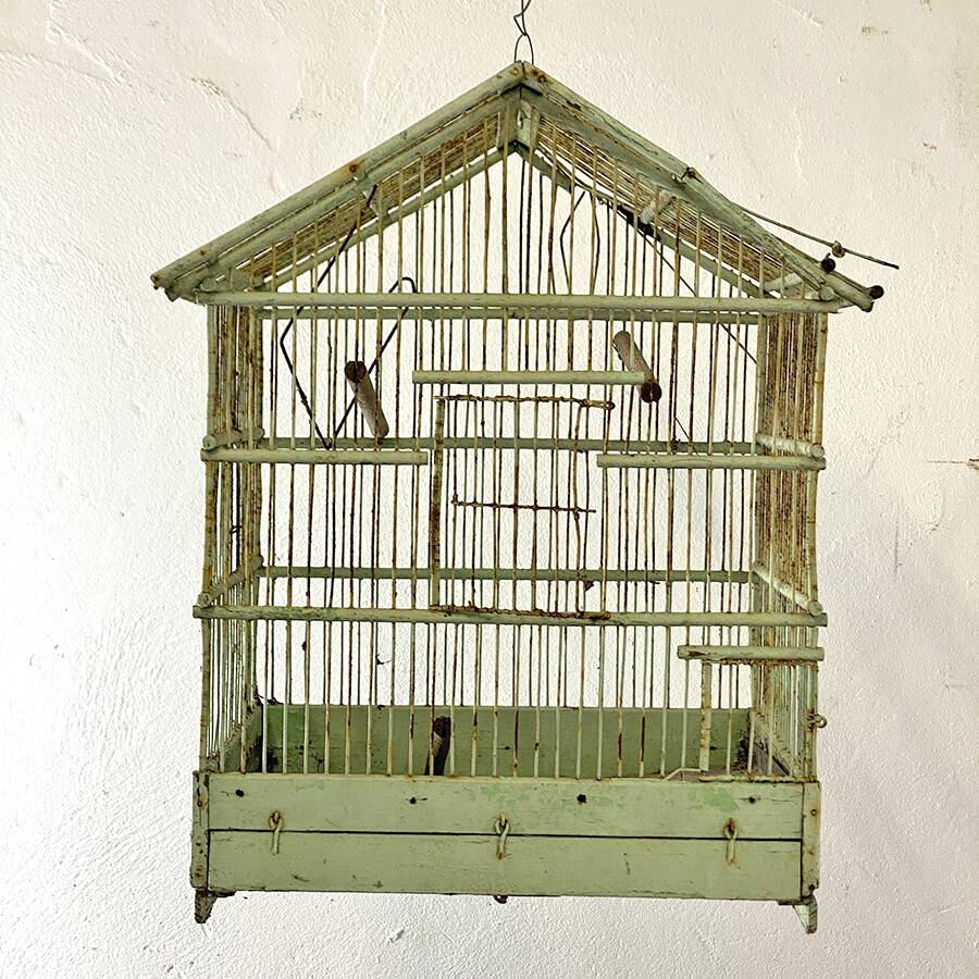 Cage à oiseaux
