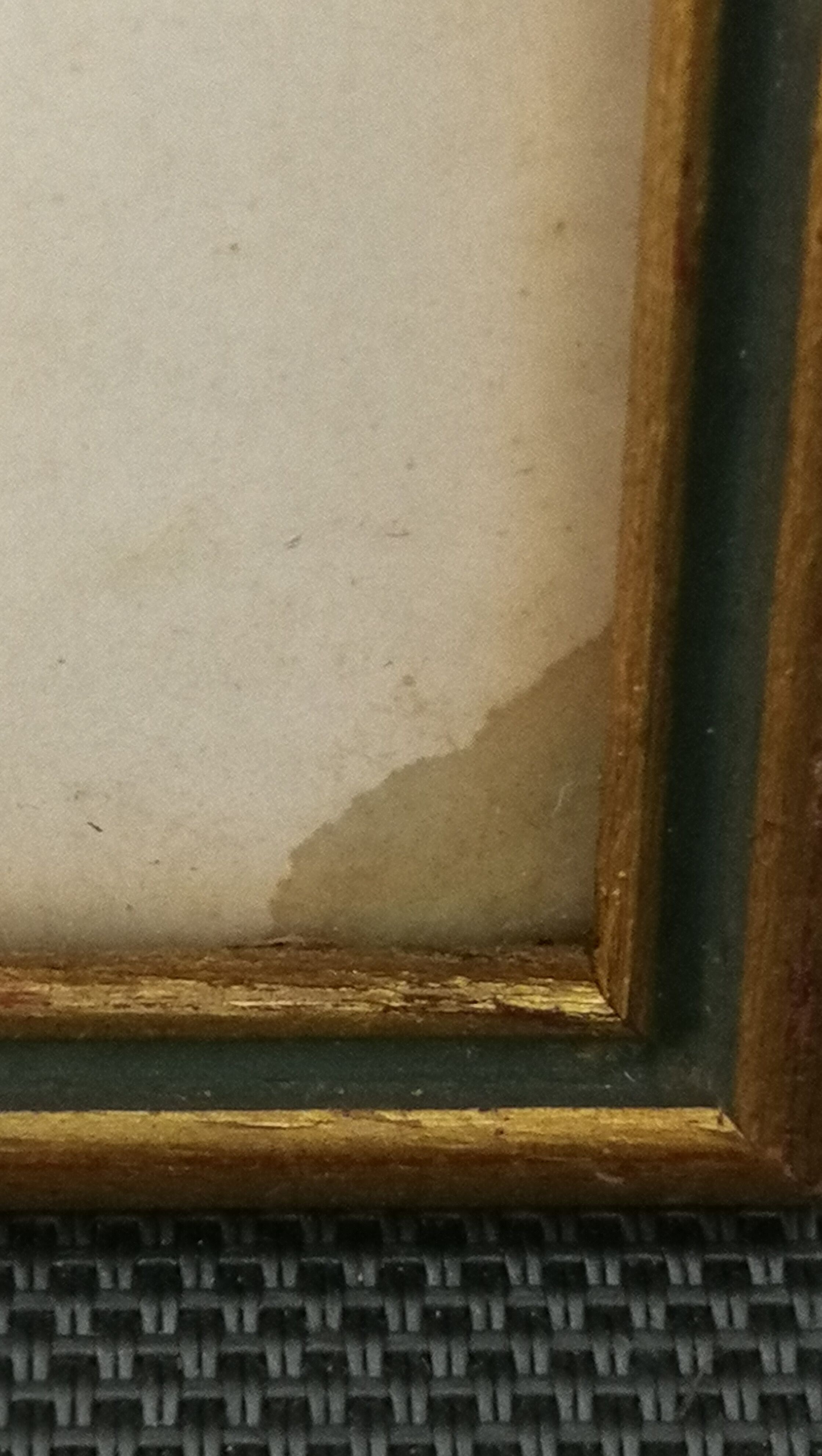 Botanical frame p. j redouté pinx imprimerie de rémond