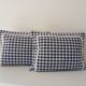 Set of 2 vintage cushions, blue gingham