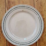 Plates in iron earth Gien