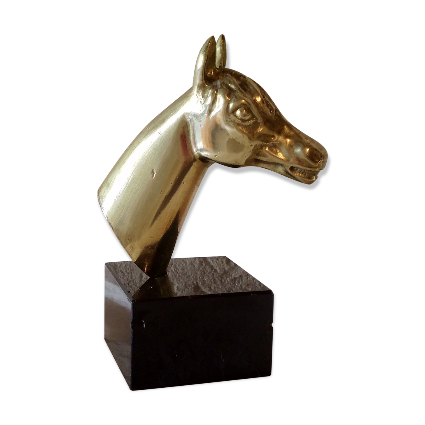 Bronze horse head