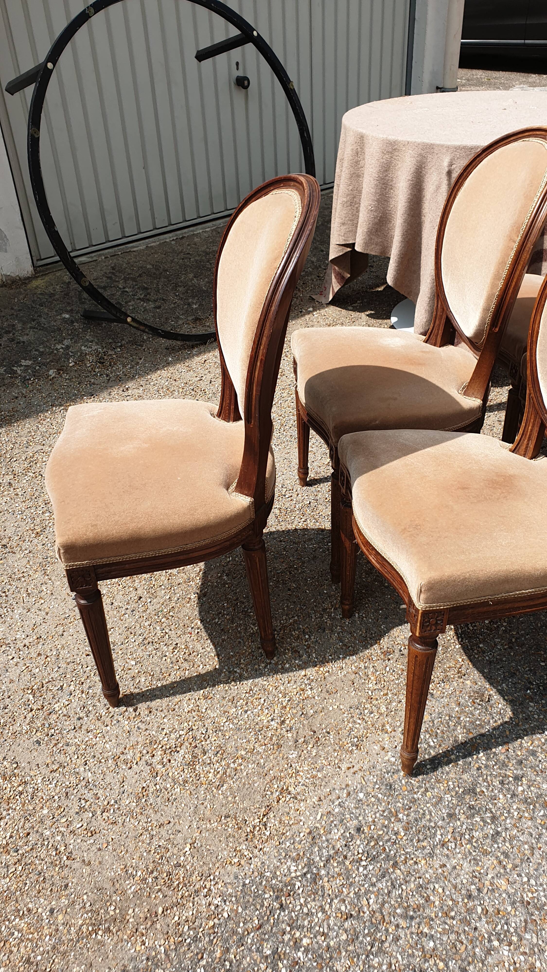 6 Louis XVI medallion chairs