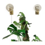 Pair of brass and glass wall sconces