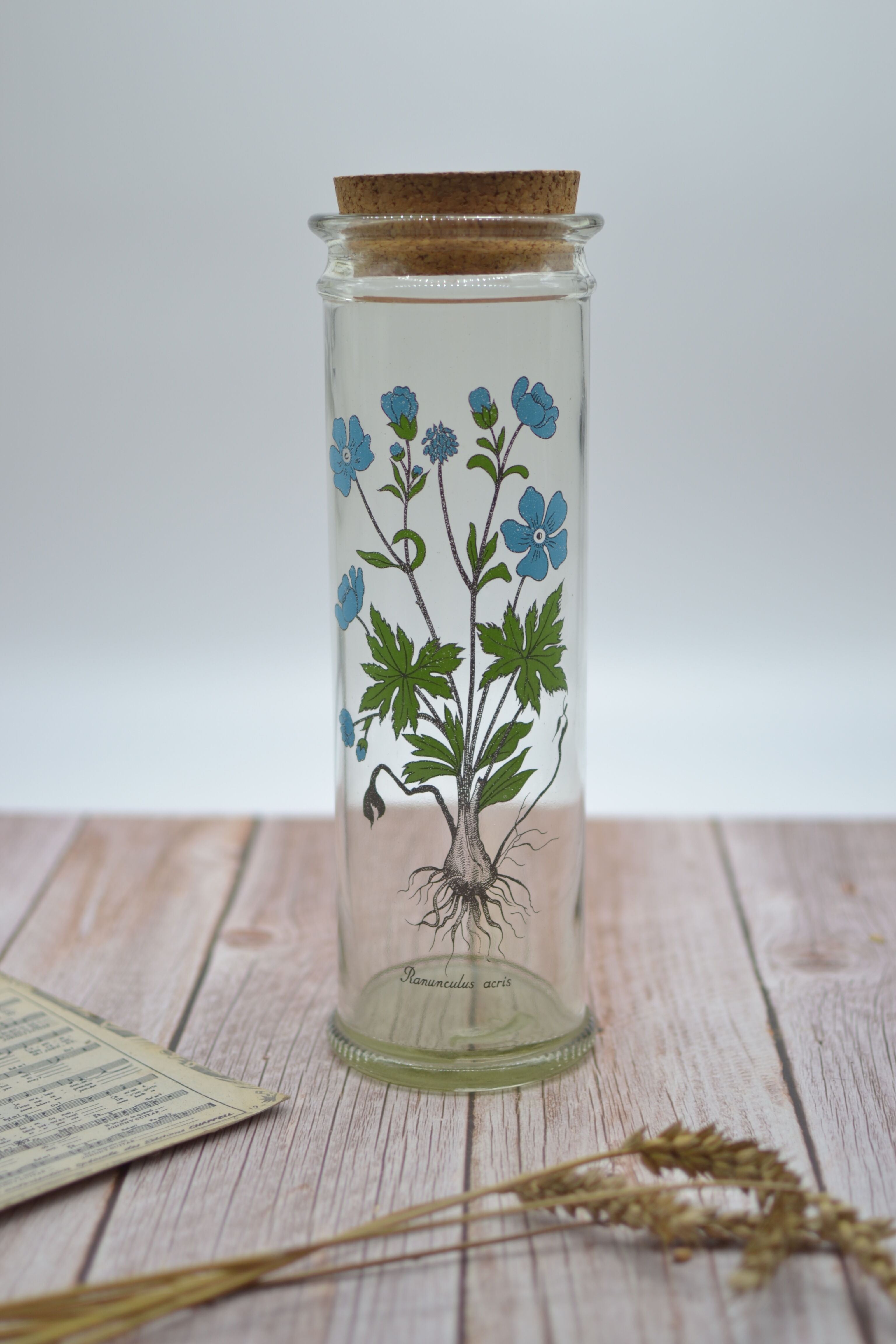 Ancient botanical jar Ranunculus Acris
