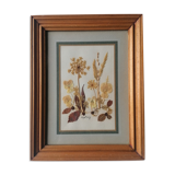 Authentic herbarium table