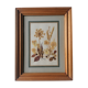 Tableau herbier authentique