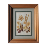 Tableau herbier authentique