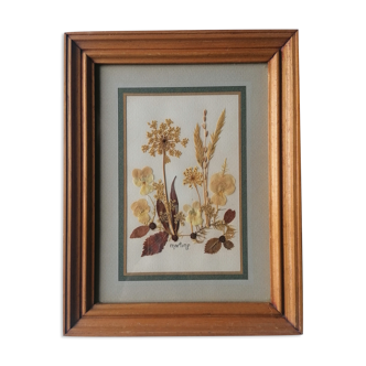 Authentic herbarium table