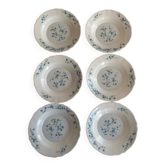 Lot de 6 assiettes Arcopal