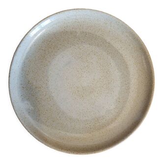 Flat stoneware plate of France Diameter 24 cm