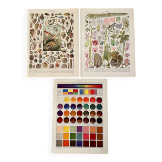 Reserved Marie-Axelle: Lot of 3 illustrated boards from the 20th century.