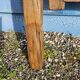 Old garden gate in solid teak