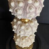 Cabinet of Curiosities globe with sea urchins phyllacanthus imperialis