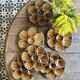 Set of 6 vintage ceramic oyster plates - Sarreguemines -