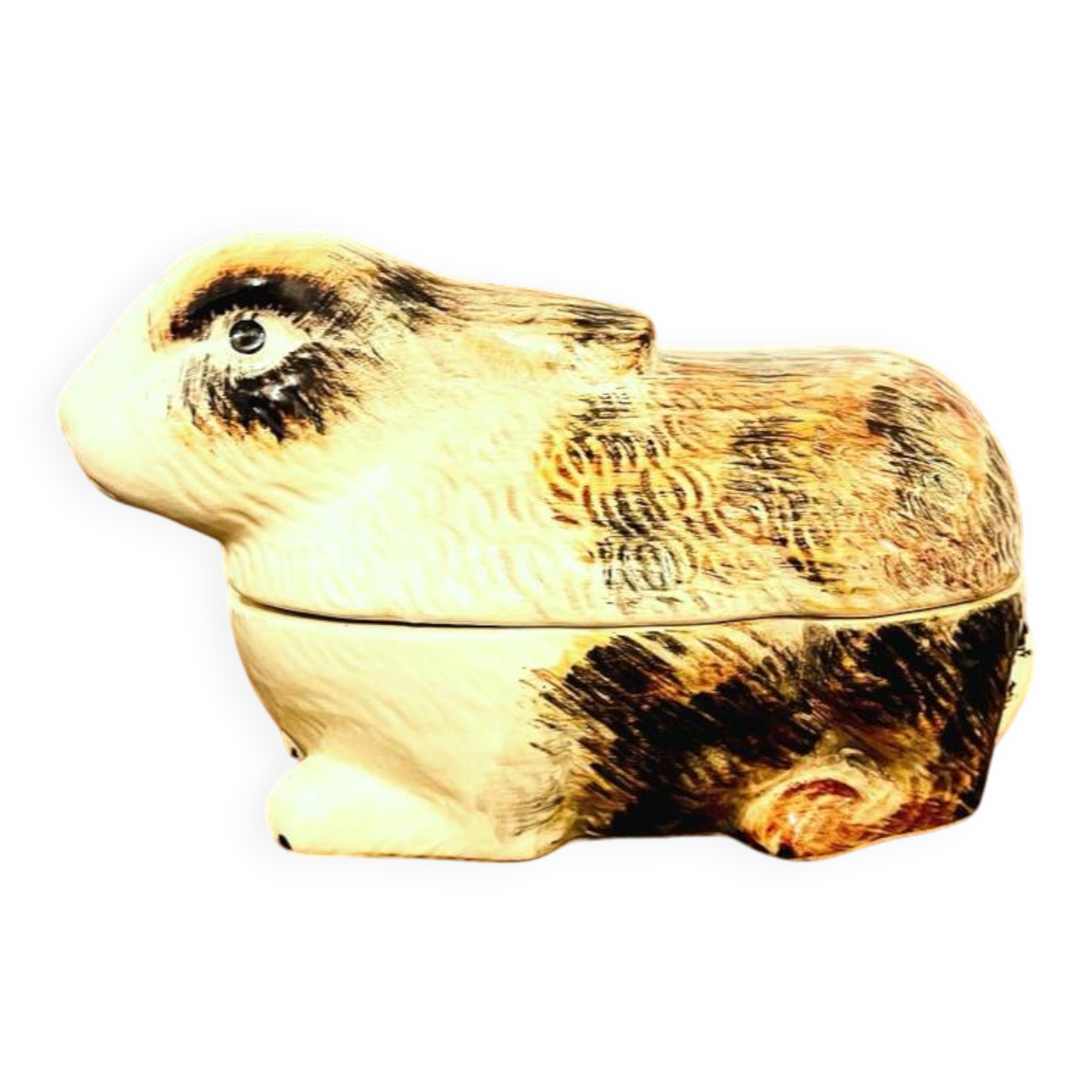 𝖳𝖾𝗋𝗋𝗂𝗇𝖾 𝗅𝖺𝗉𝗂𝗇 𝖼𝖾́𝗋𝖺𝗆𝗂𝗊𝗎𝖾 𝖼𝖺𝗎𝗀𝖺𝗇𝗍