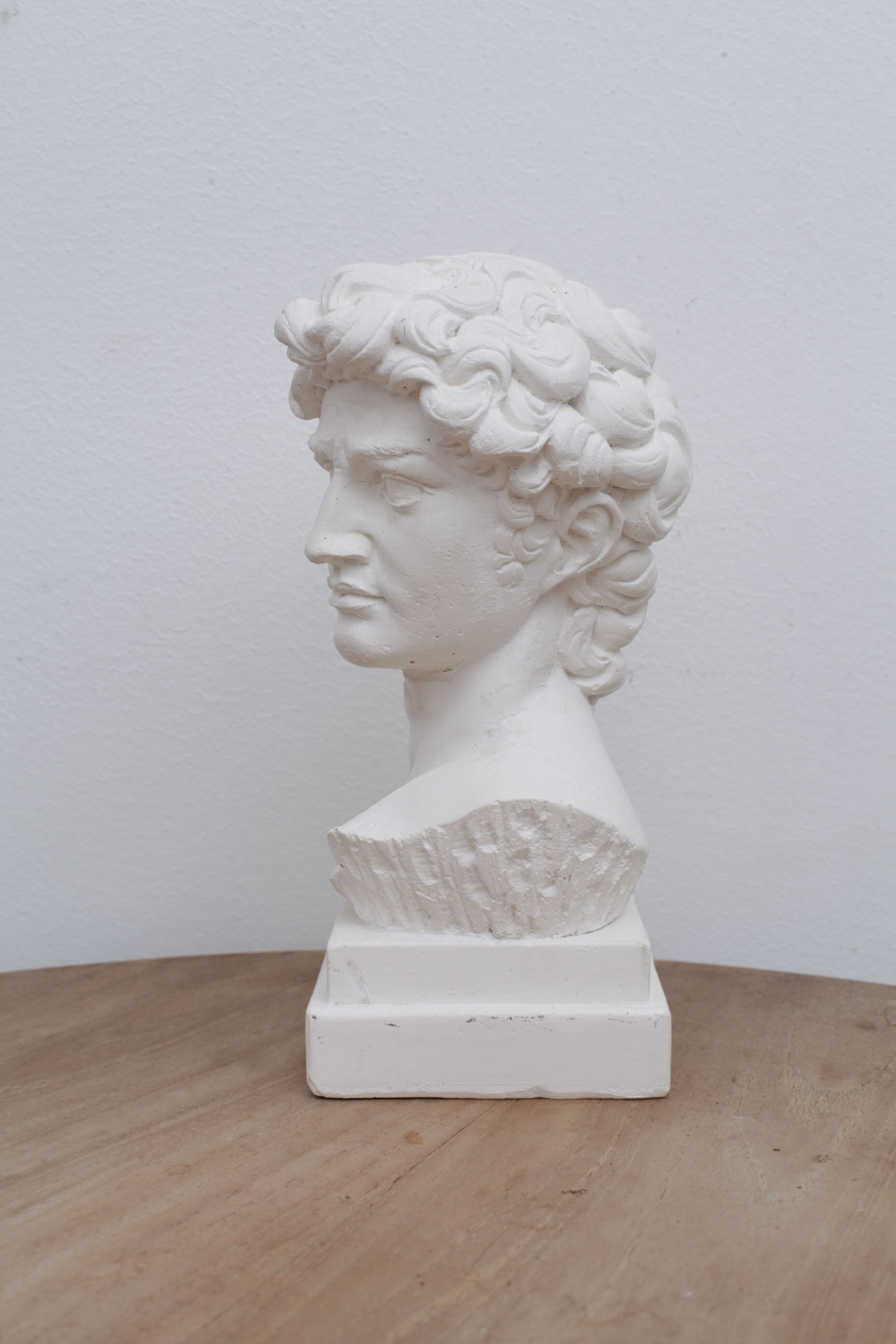 David head in waxed white plaster