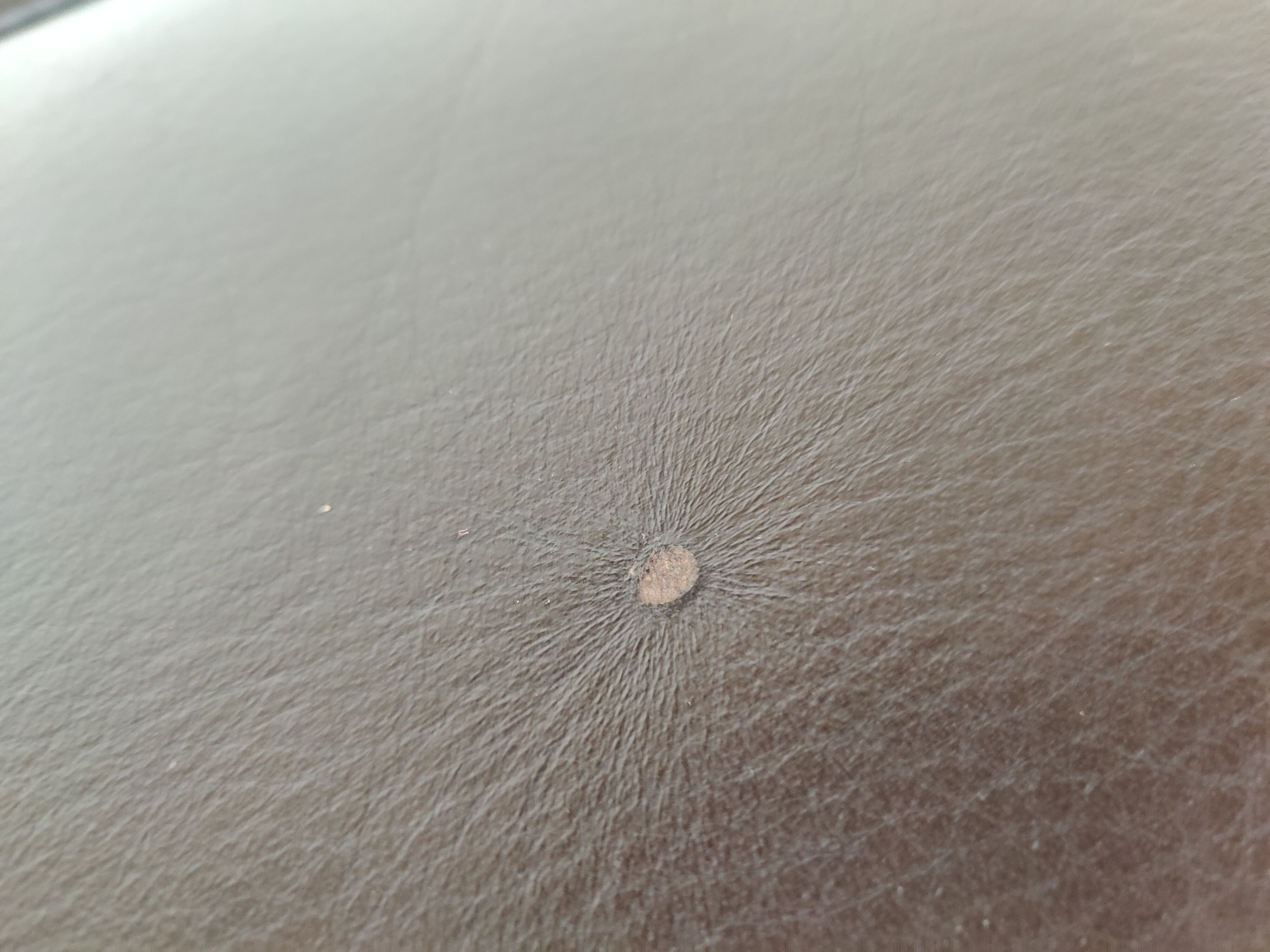 Design leather armchair, 80s/90s