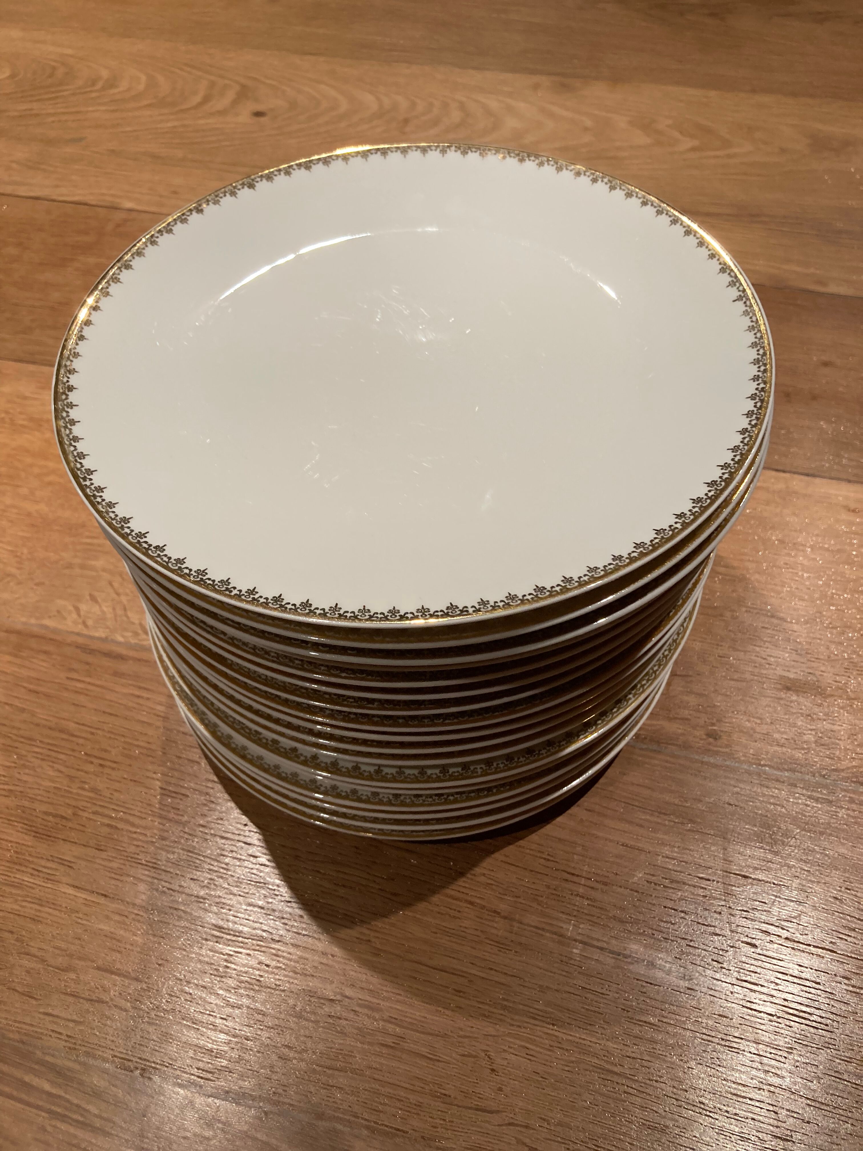 Series of 17 plates Limoges Haviland