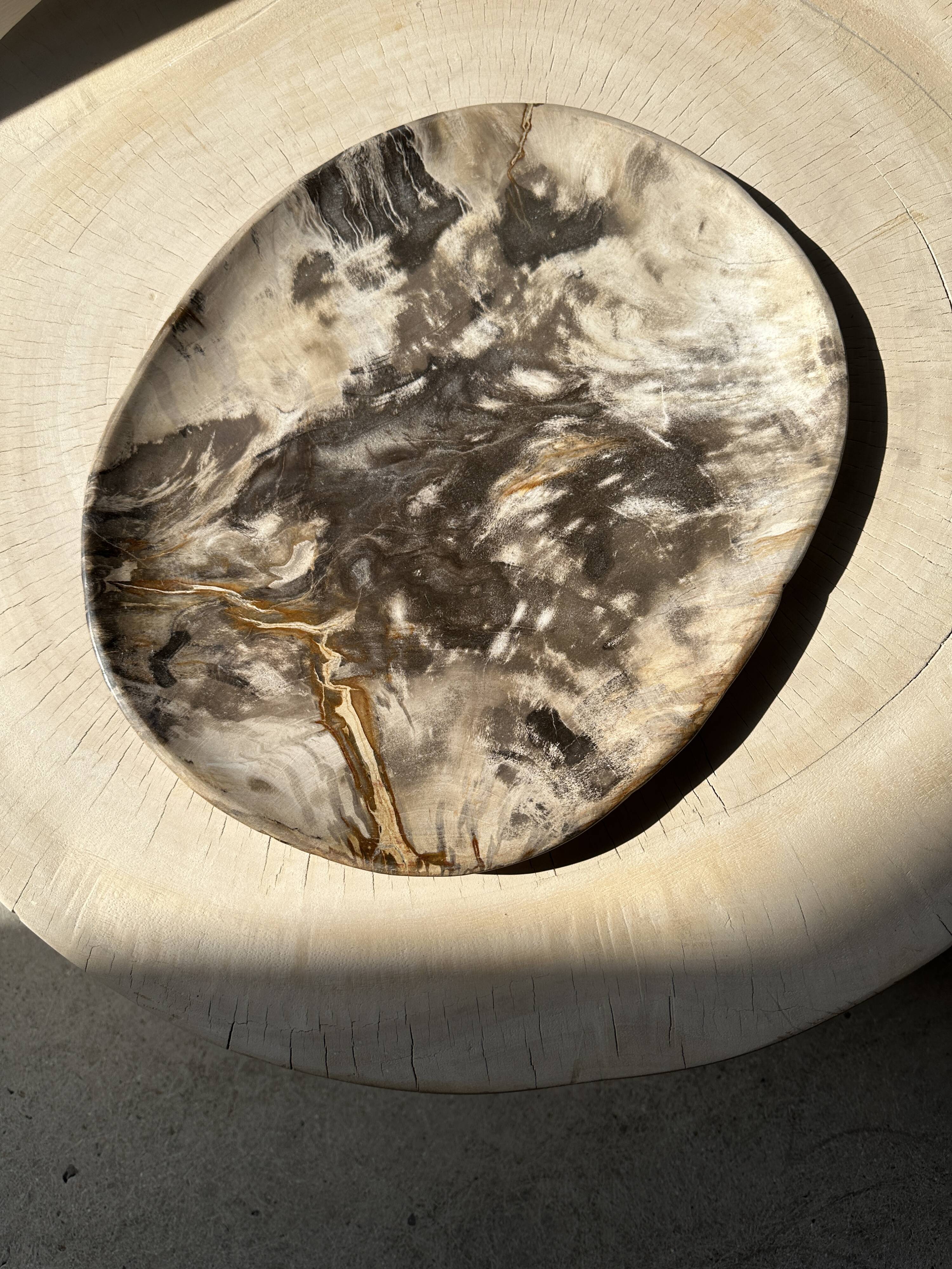 Very large pocket or dish in petrified wood