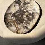 Very large pocket or dish in petrified wood