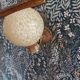 Applique globe verre de Clichy