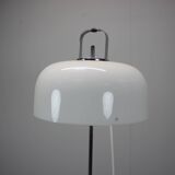 Mid-Century Floor Lamp Medusa by Luigi Massoni for Guzzini, 1970s, Italy