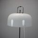 Mid-Century Floor Lamp Medusa by Luigi Massoni for Guzzini, 1970s, Italy