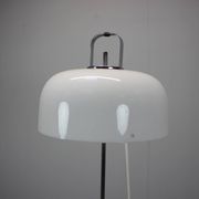 Mid-Century Floor Lamp Medusa by Luigi Massoni for Guzzini, 1970s, Italy