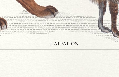 Chimera lithography engraving animal - the alpalion