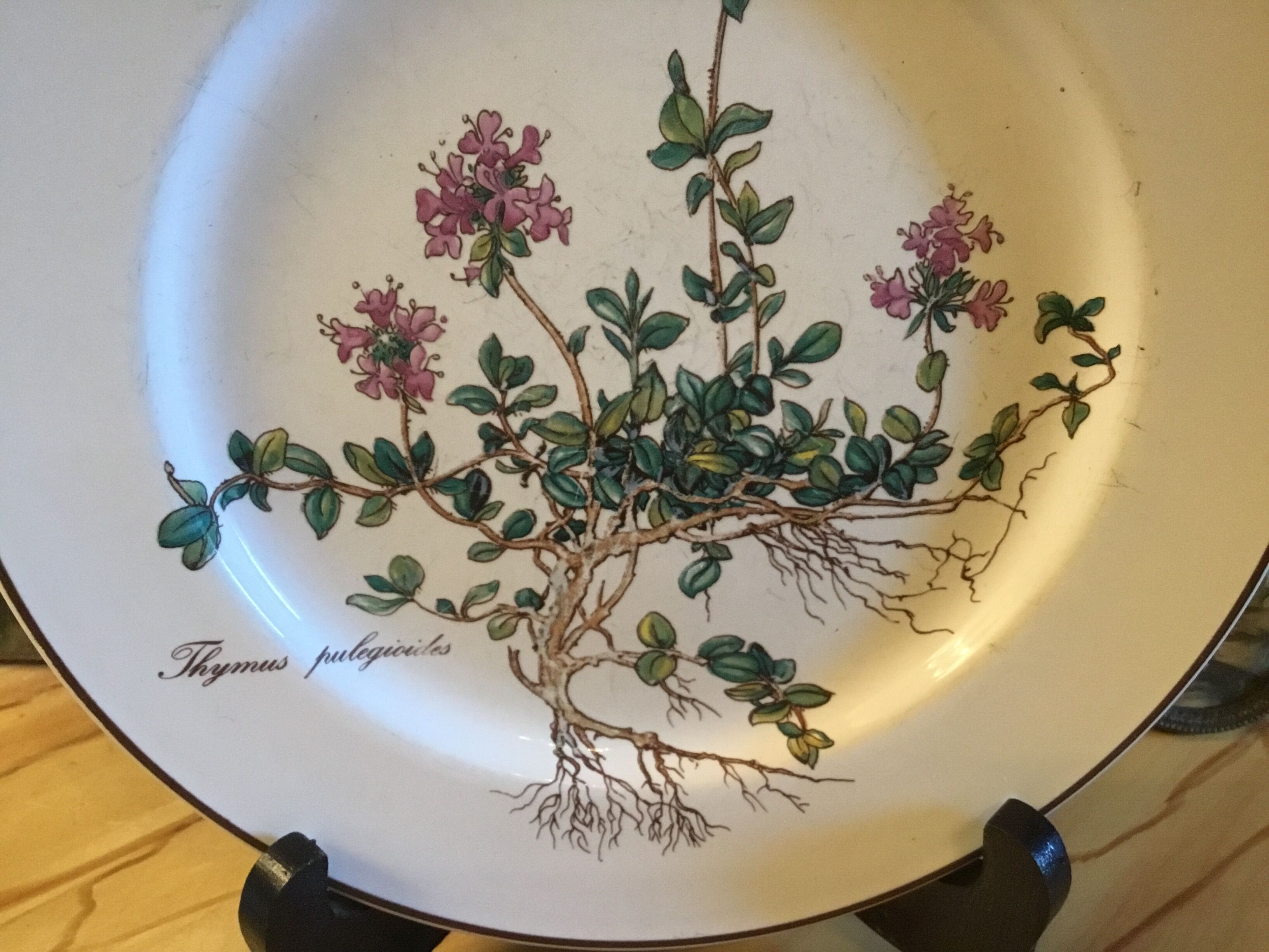 Botanica Villeroy Plates - Boch