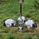 Italian design chandelier in chrome metal 3 lights Rolly 1973