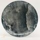 6 dessert plates, "Federated Potteries Staffordshire" (England).