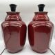 Paire de lampes rouge sang de boeuf de style asiatique