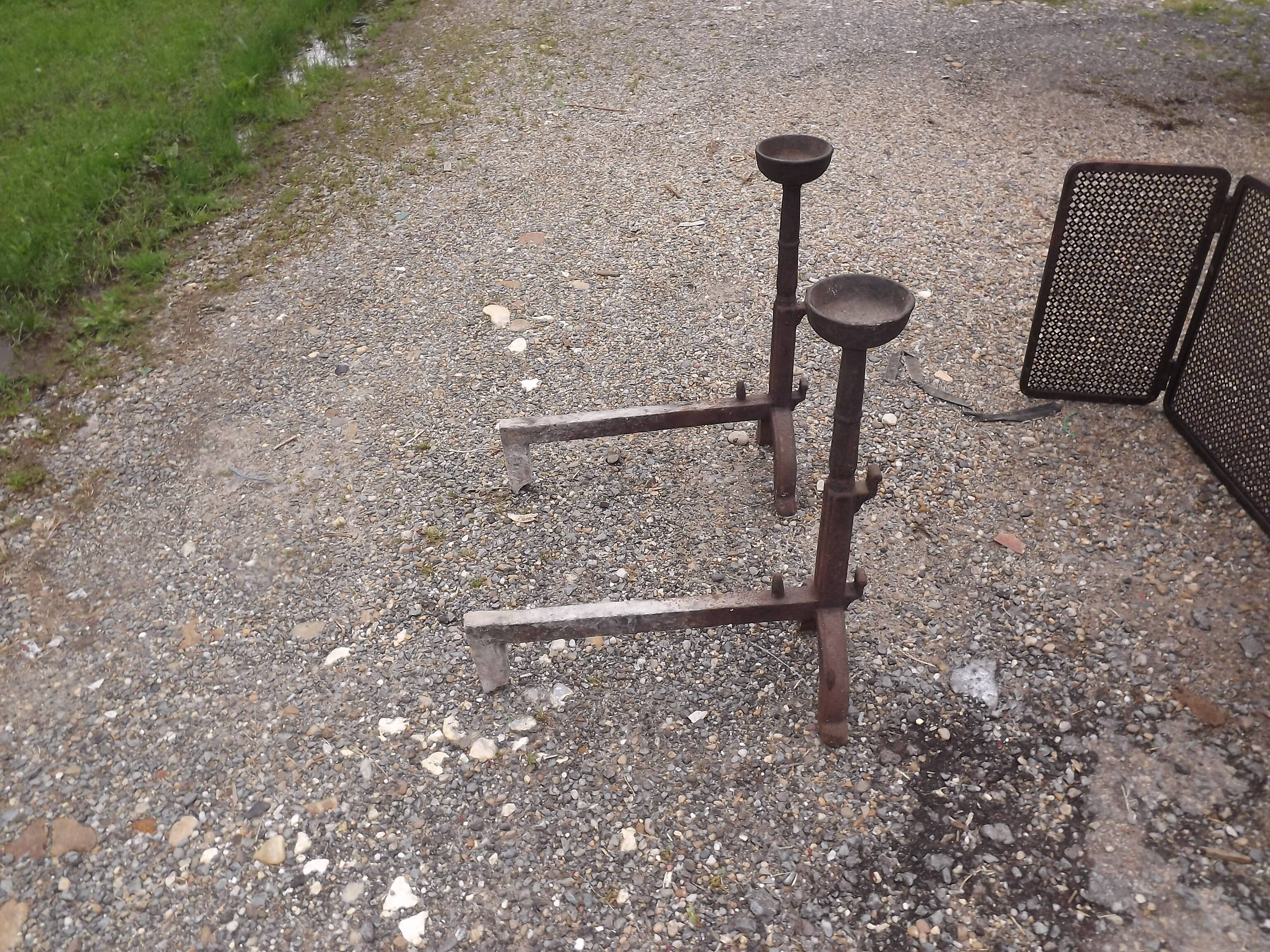 Shield fire with cast iron andirons