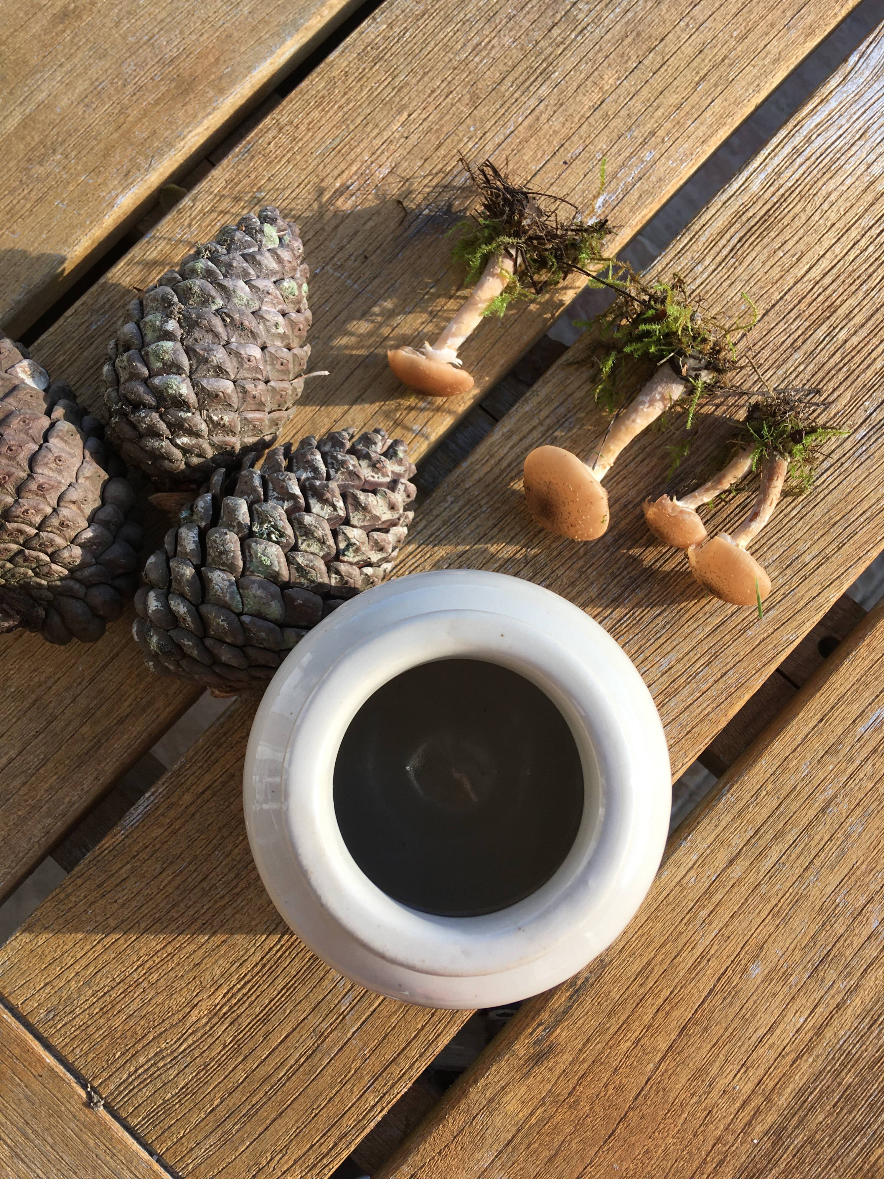 Beige sandstone mustard pot