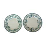 2 vintage dessert plates of St Amand model Guadeloupe