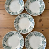 Set of 5 antique deep plates "Terre de Fer"