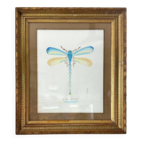 Blue dragonfly frame