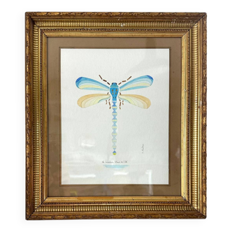 Blue dragonfly frame