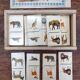 Dominos animaux en bois