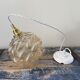 New electrified golden bubble glass pendant lamp