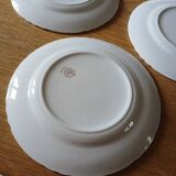 5 old Moulin des loups flat plates