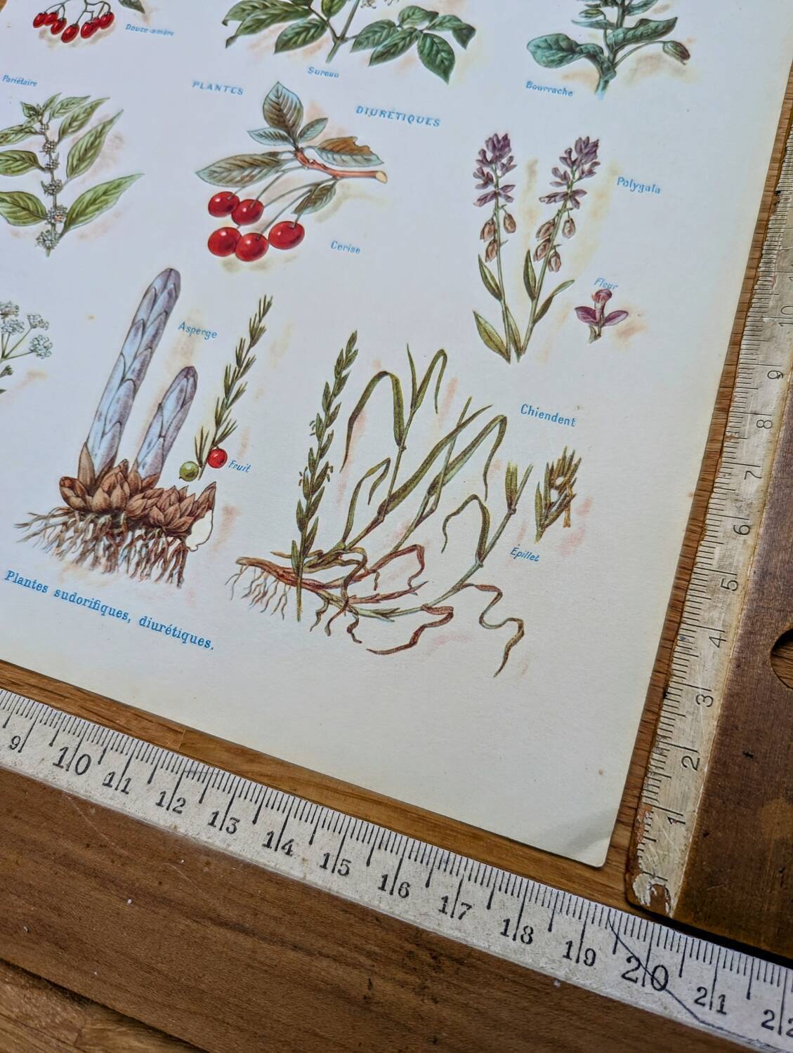 Medical plant board, printed in 1954