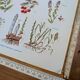 Medical plant board, printed in 1954